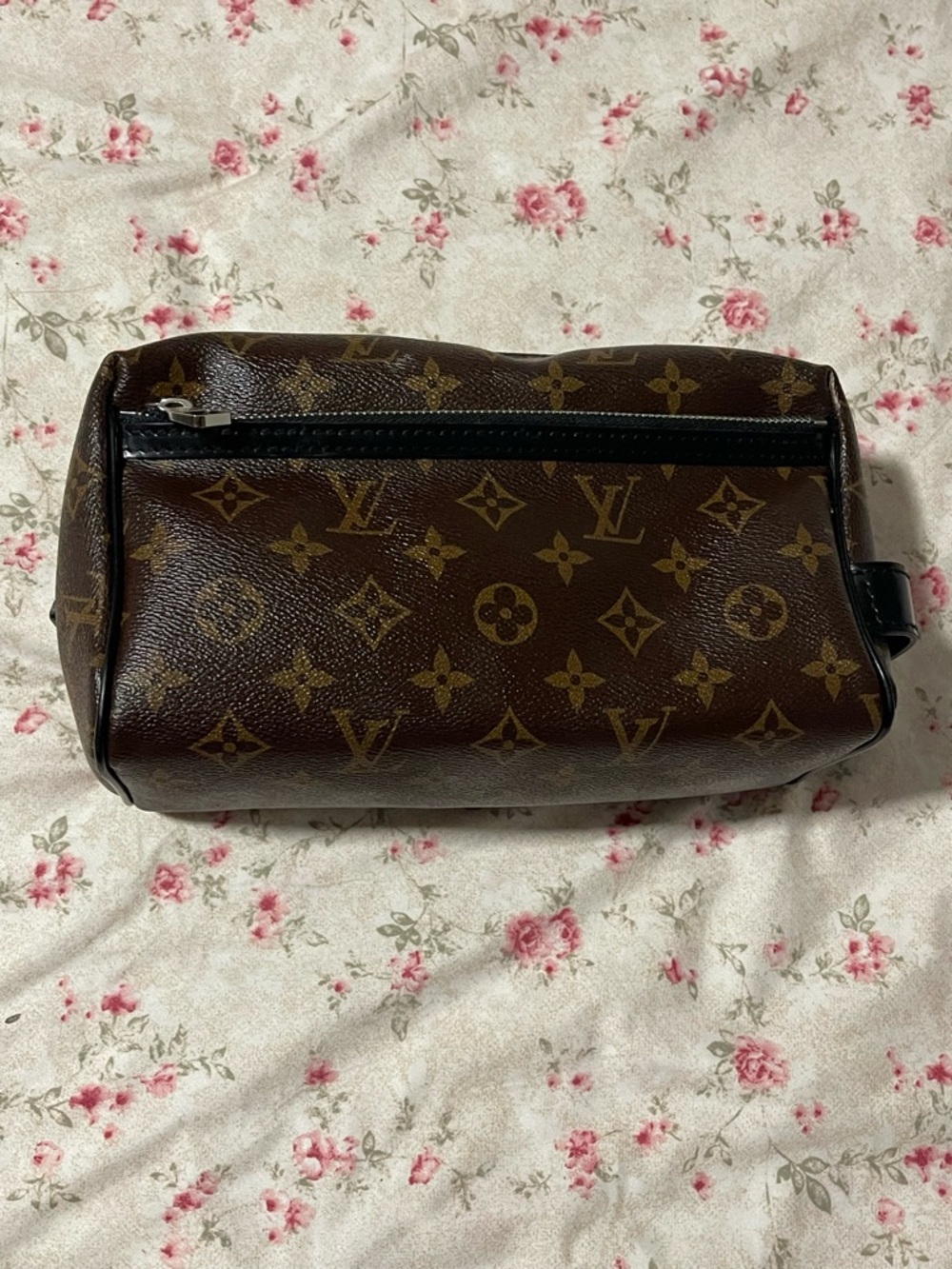 Louis Vuitton Monogram Toiletry Bag